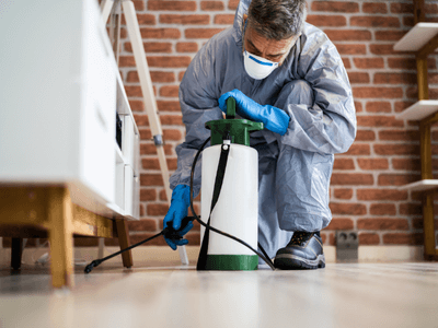 About Termites & Rodents Pest Control Peoria - pest control experts in Peoria