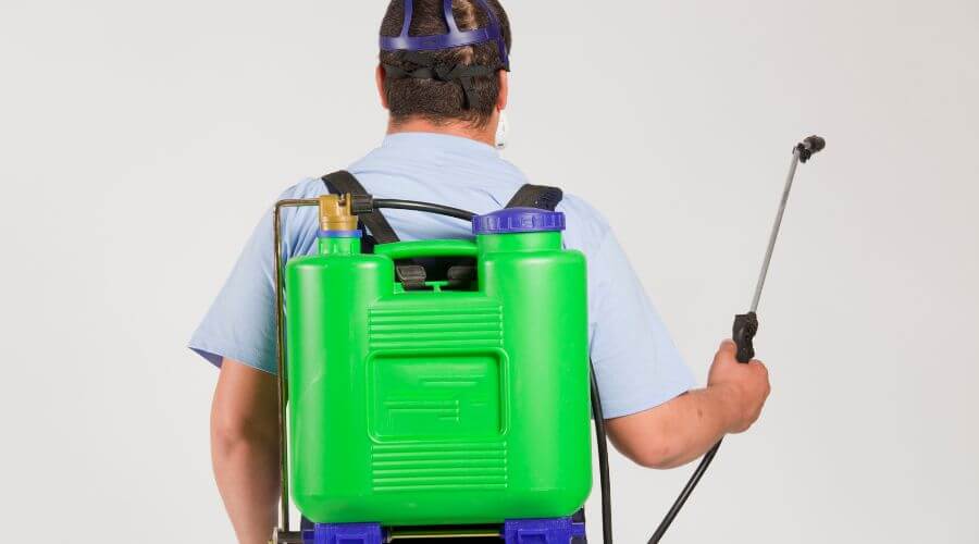 Why choose Termites & Rodents Pest Control Peoria for pest control in Peoria
